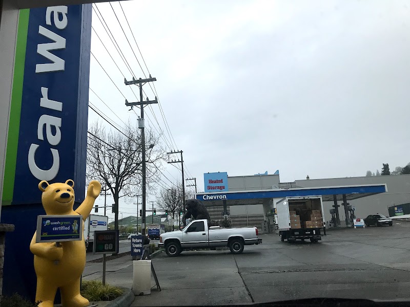 Brown Bear Car Wash