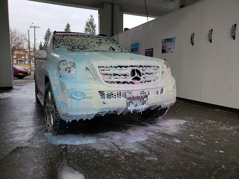 Brown Bear Car Wash