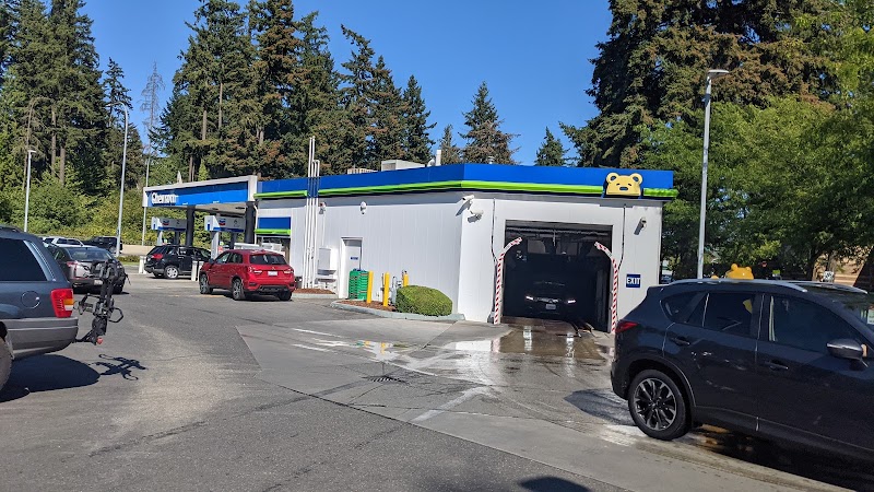 Brown Bear Car Wash