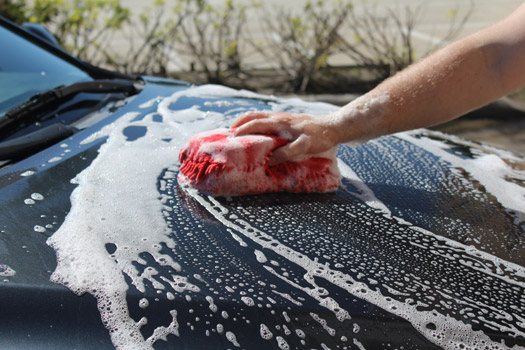 Lotus Hand Car Wash & Detail