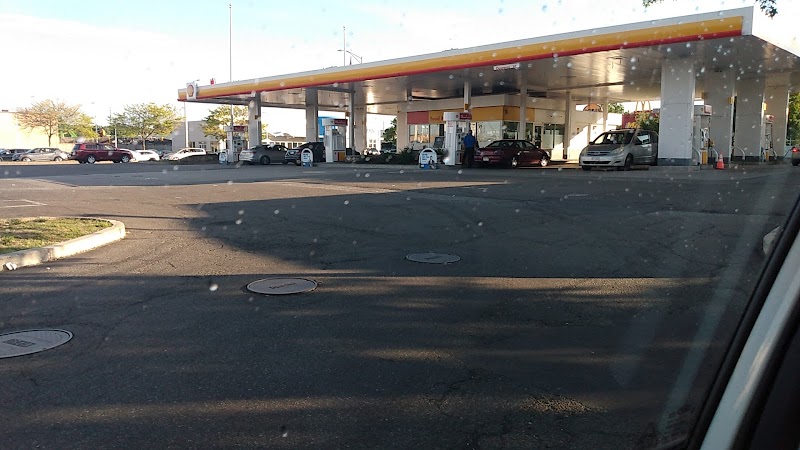 Nouria in Lynn MA